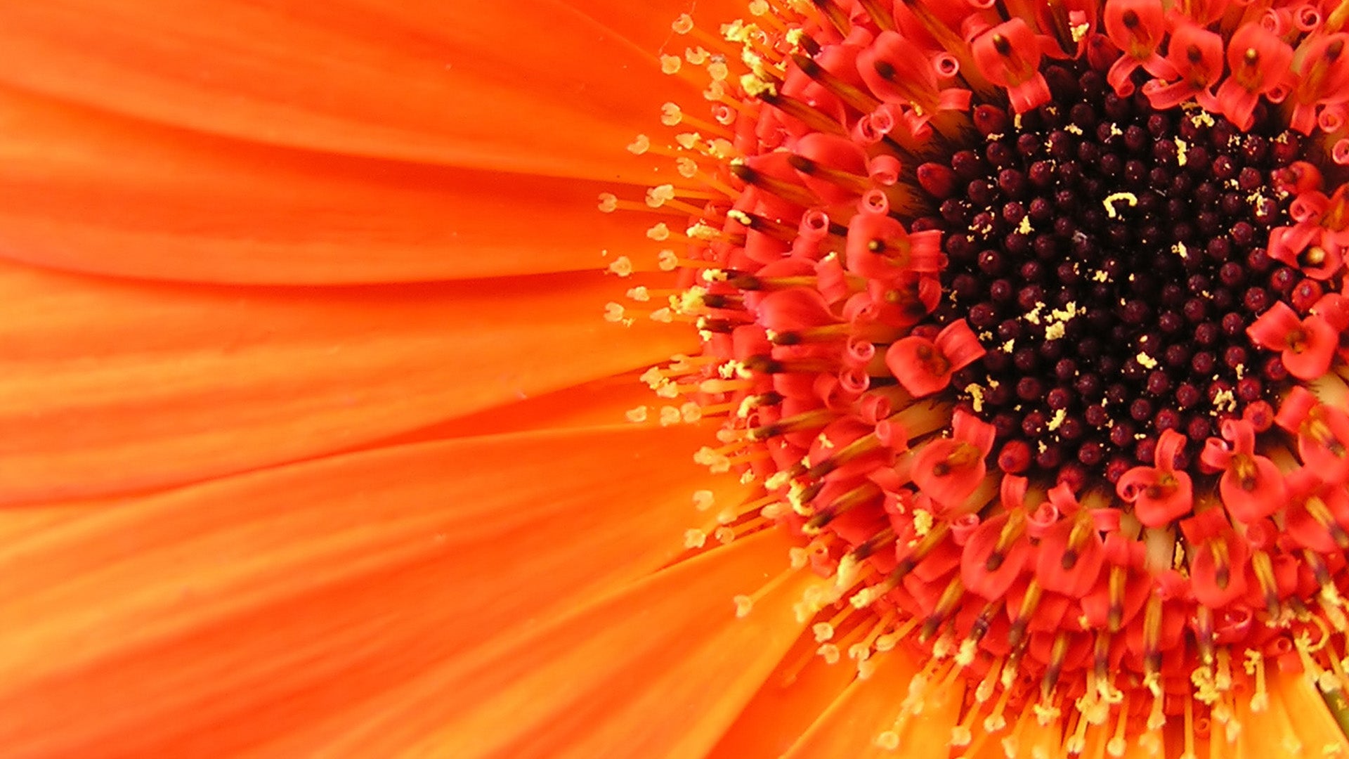 4 WAYS FOR NATURALLY FIRMER SKIN