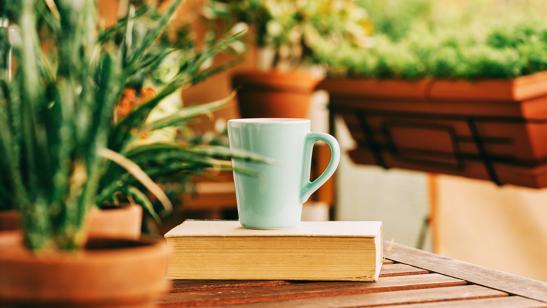 9 STEPS TO BECOMING THE HEALTHIEST VERSION OF YOURSELF