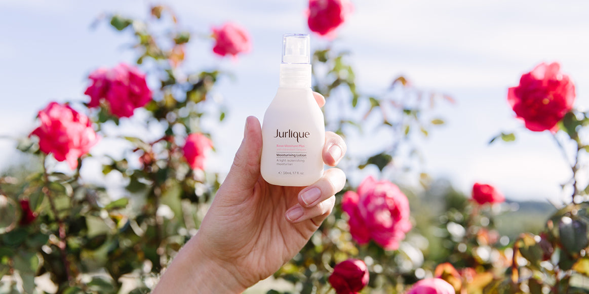 JOURNEY TO THE JAR: THE STORY OF OUR ROSE