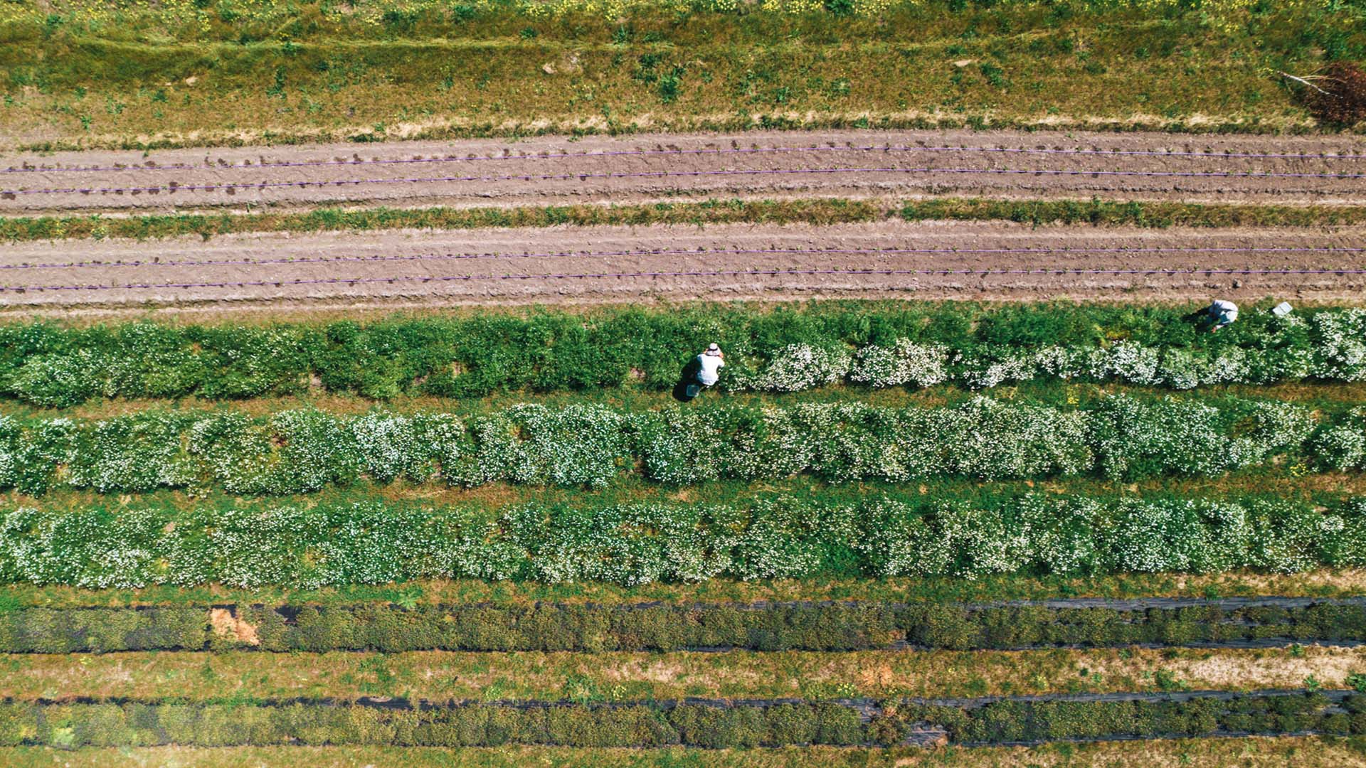 A Season for Thoughtful Gifting & Giving Back