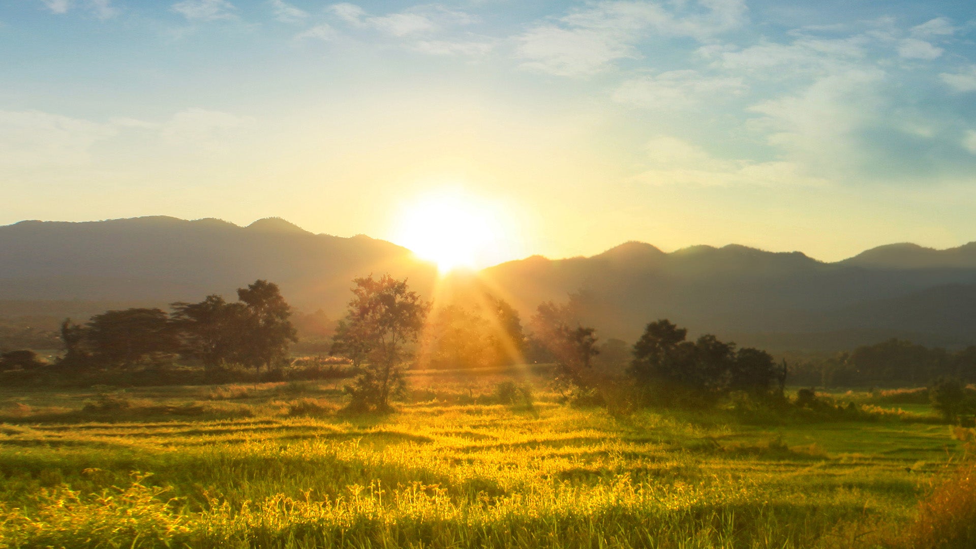 HOW TO MAKE EXERCISE A LIFESTYLE CHOICE BY LEAH SIMMONS