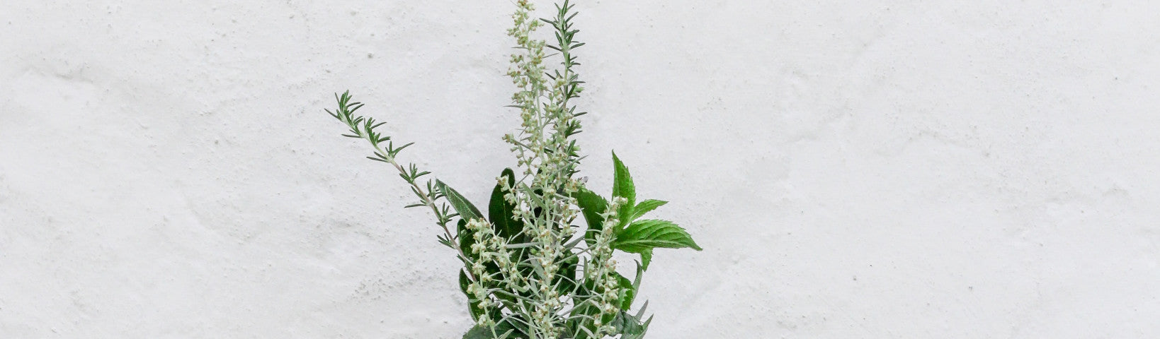 5 WAYS PLANTS CAN BOOST YOUR SKIN HEALTH