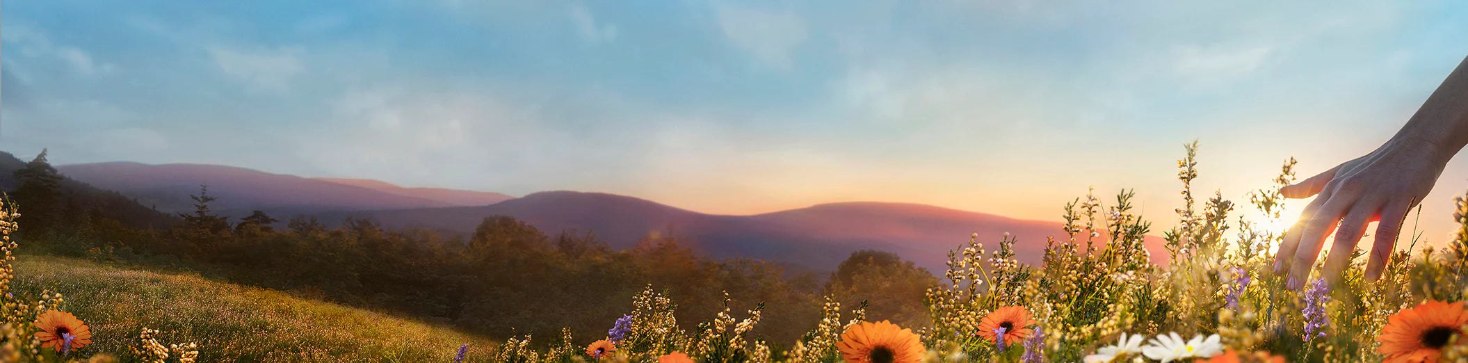 Essential Oil Blends