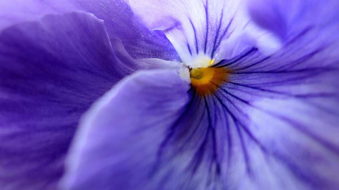 5 MINUTES WITH GEORGIE ABAY FROM THE GRACE TALES