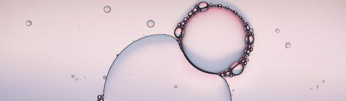 4 FACTS YOU NEED TO KNOW ABOUT BIOSOME6