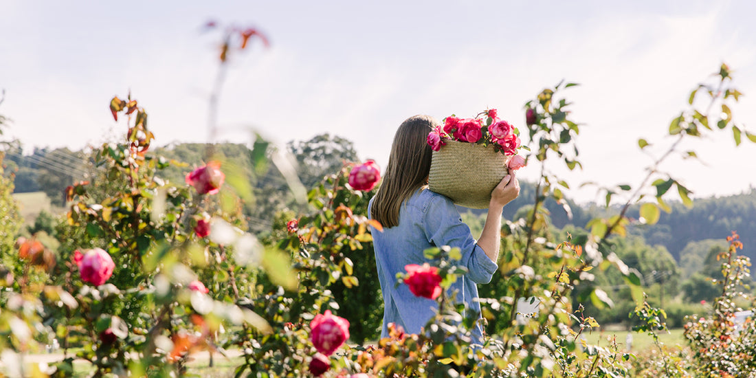 BOTANICALS LOVINGLY PICKED BY HAND
