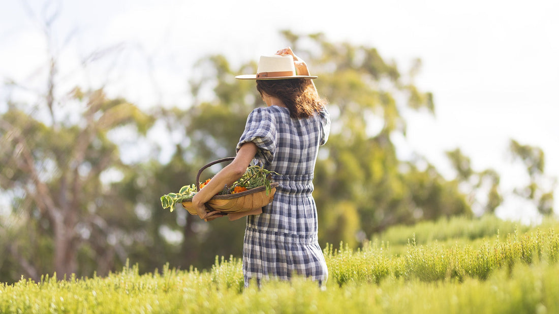 NATURE'S TRANSFORMATIVE PATH: A CLOSER LOOK AT JURLIQUE'S SEED TO SKIN PROCESS