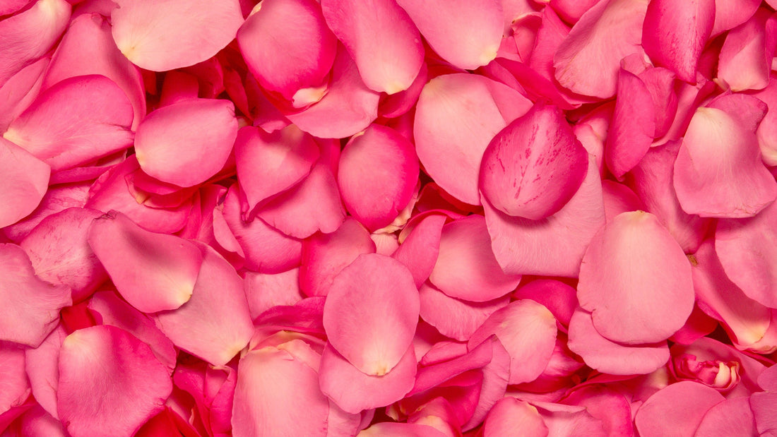 THE ULTIMATE VALENTINE’S DAY GIFT GUIDE