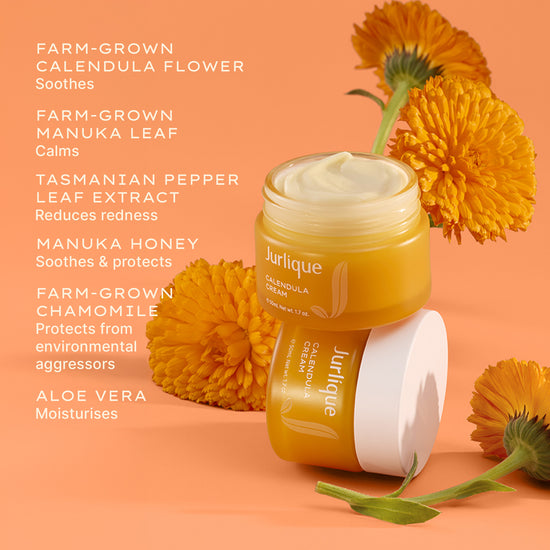 Calendula25_PDP Images_Cream 3jpg