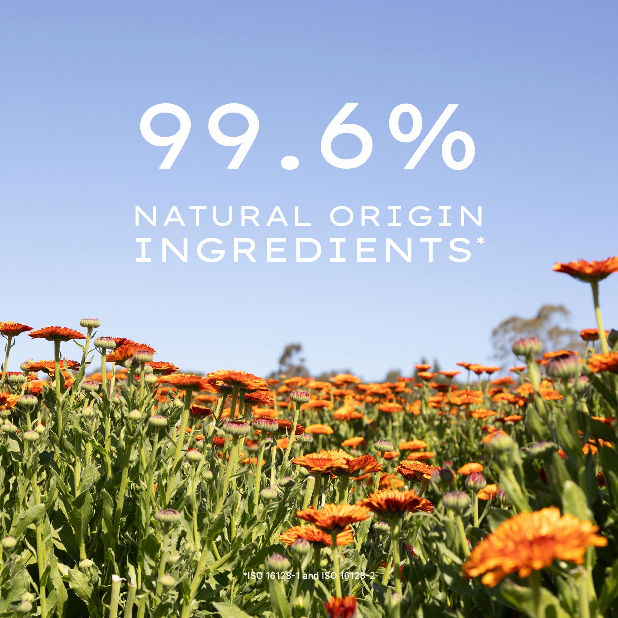 Calendula Serum