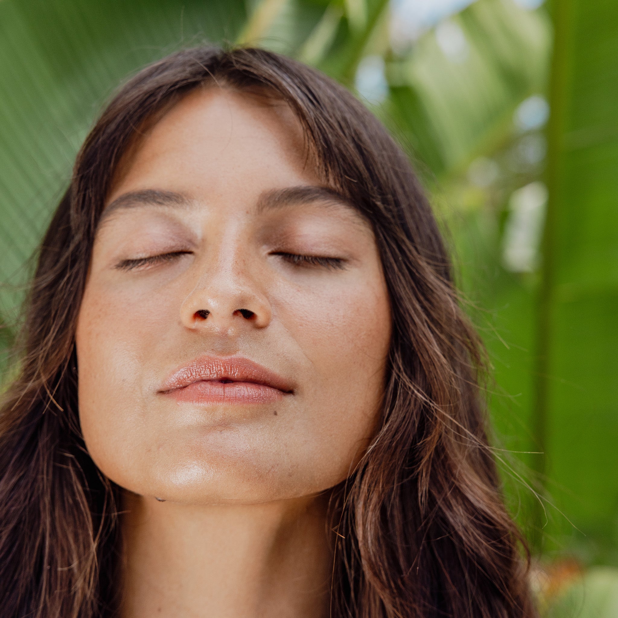 Rosewater Balancing Mist