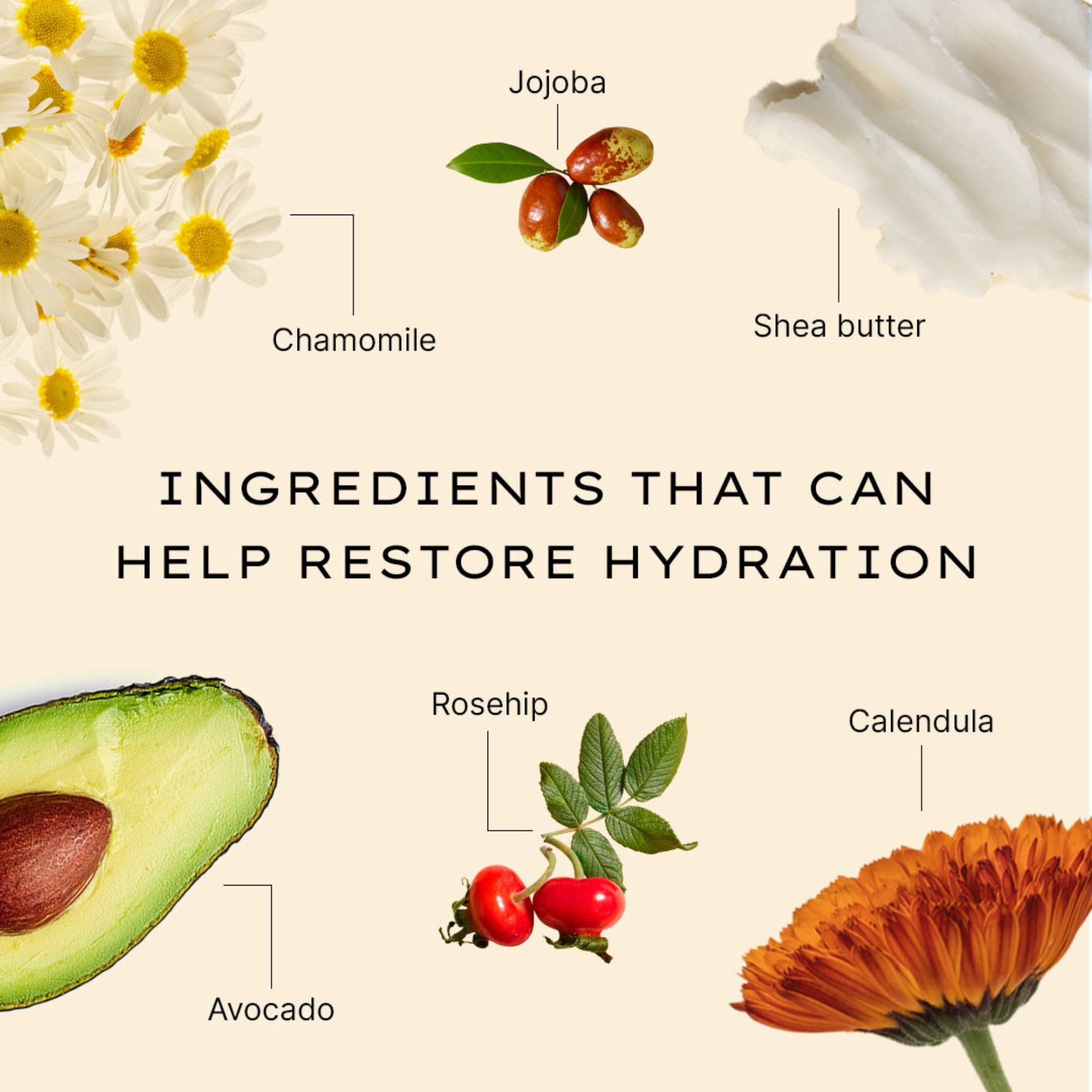Nourish & Firm