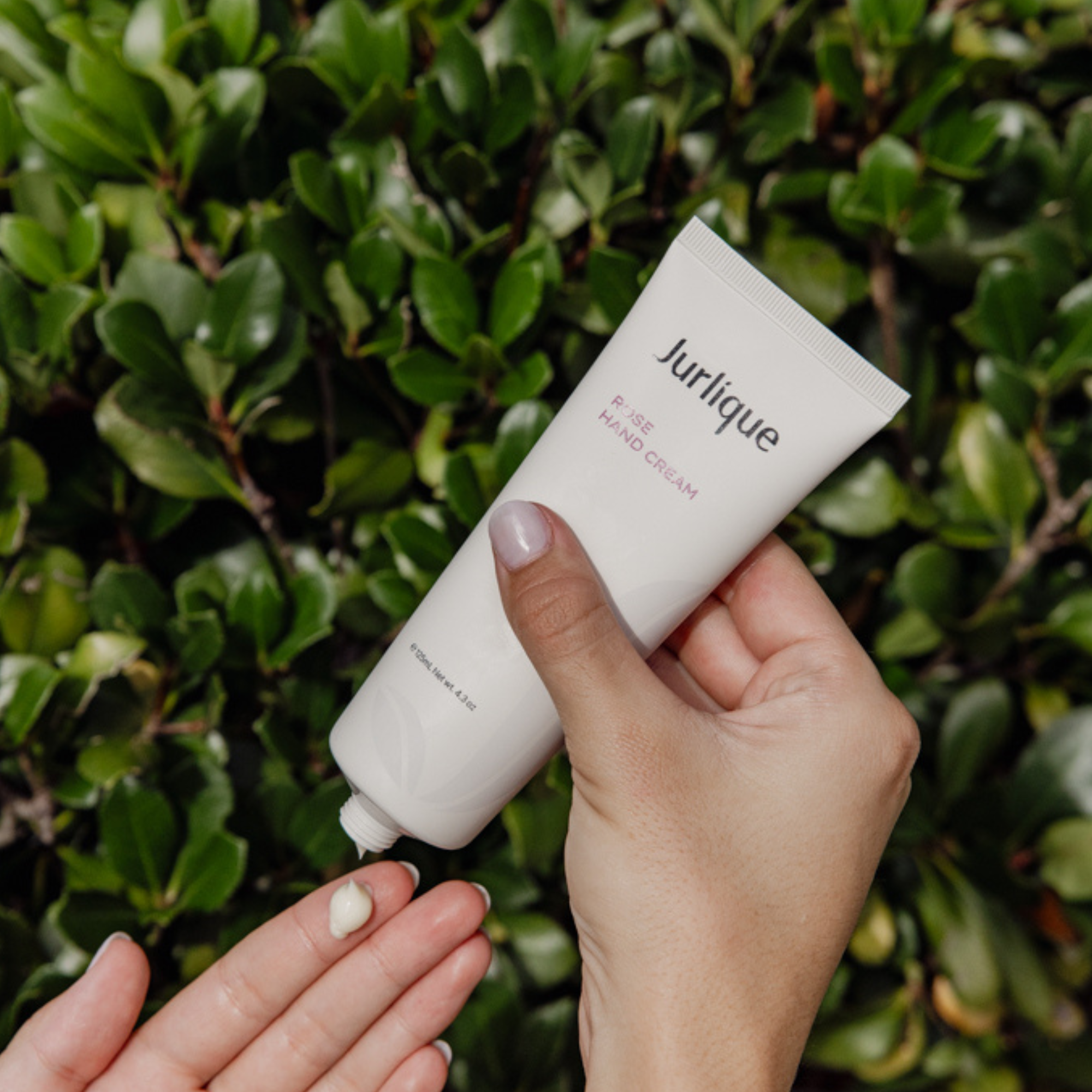Holy Basil Mist and Rose Hand Cream Duo