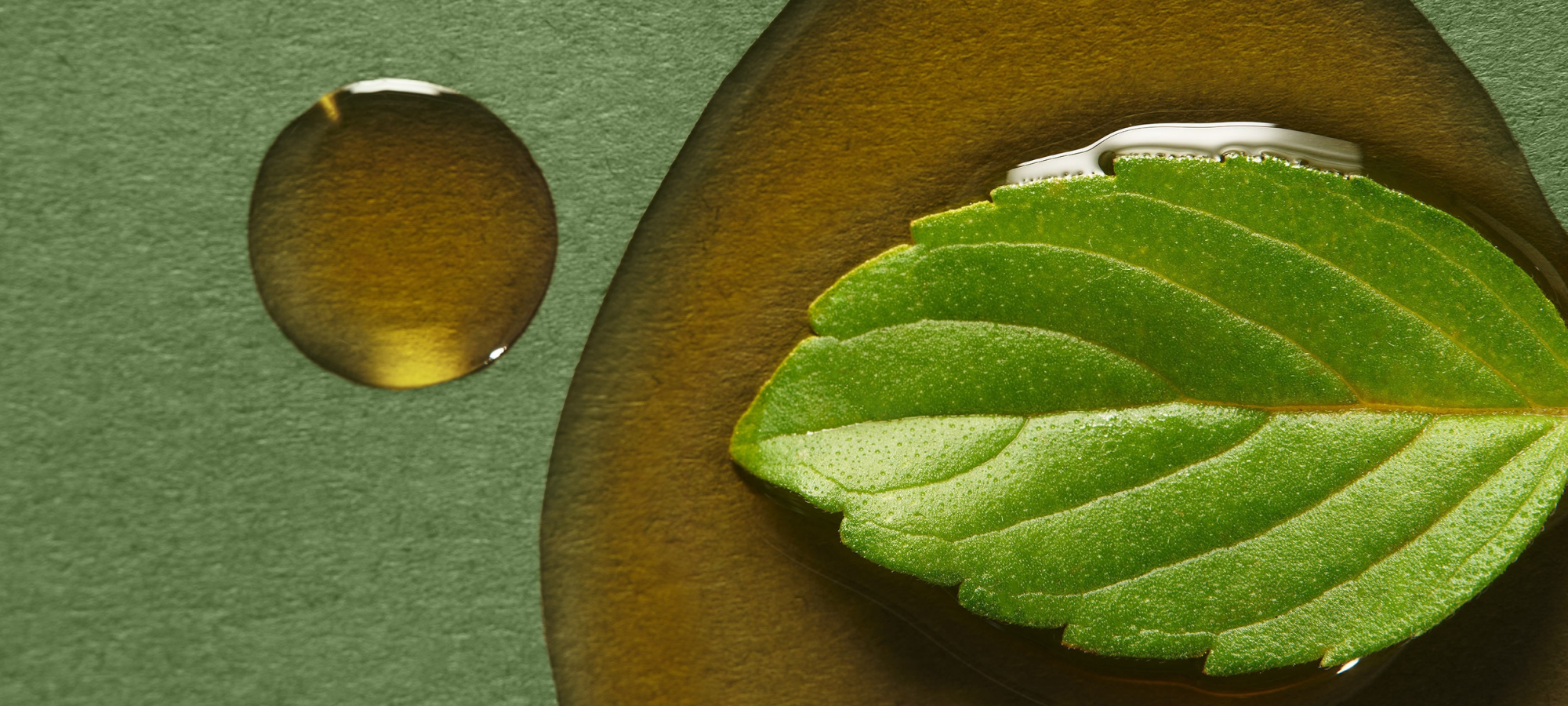 Hompage Slider Image