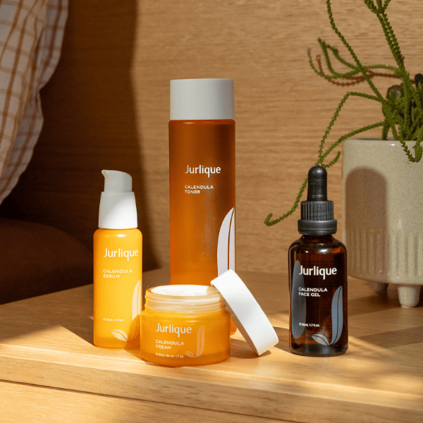 Calendula Lifestyle shotpng