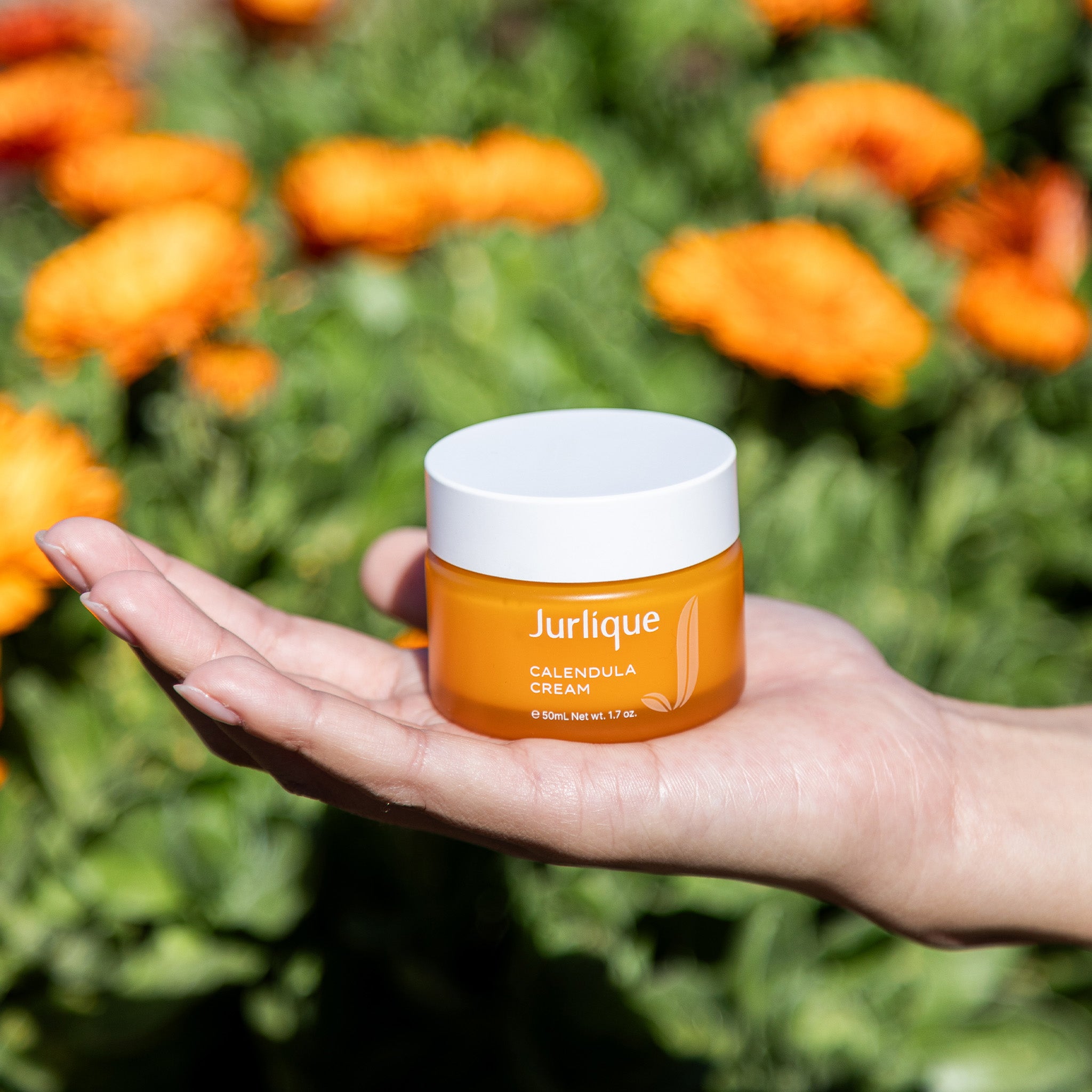Calendula25_PDP Images_Cream 7jpg